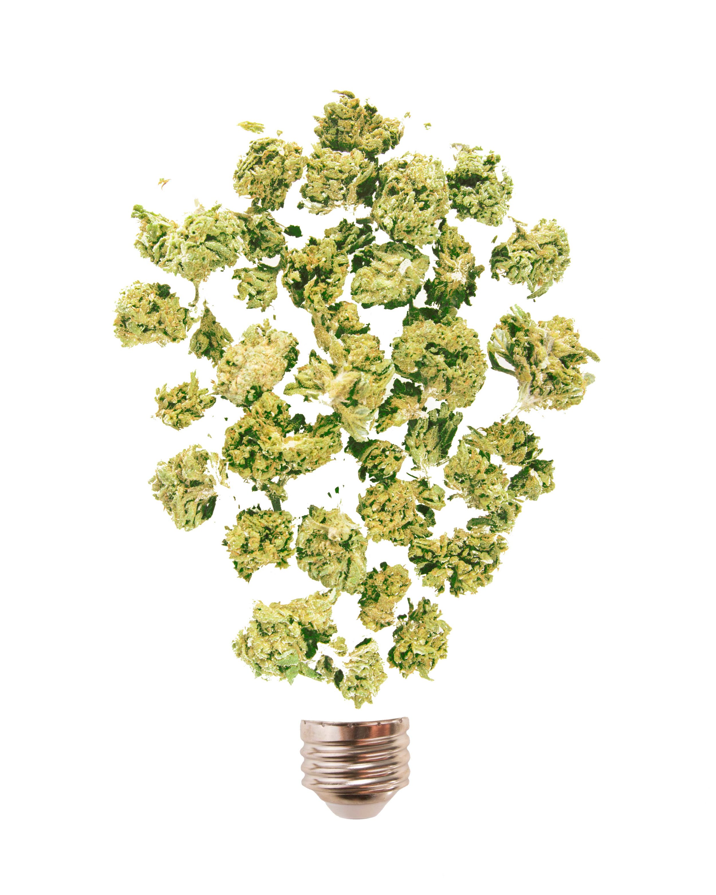 weedlightbulb-transparent.jpg