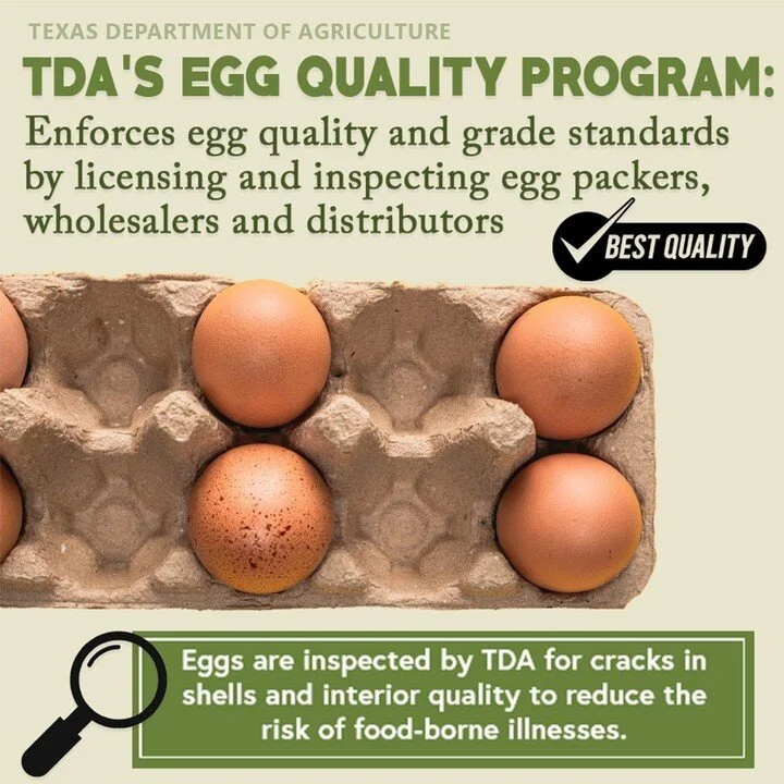 The Texas Department of Agriculture has an egg-cellent 
Egg Quality Program #TexasAgricultureMatters