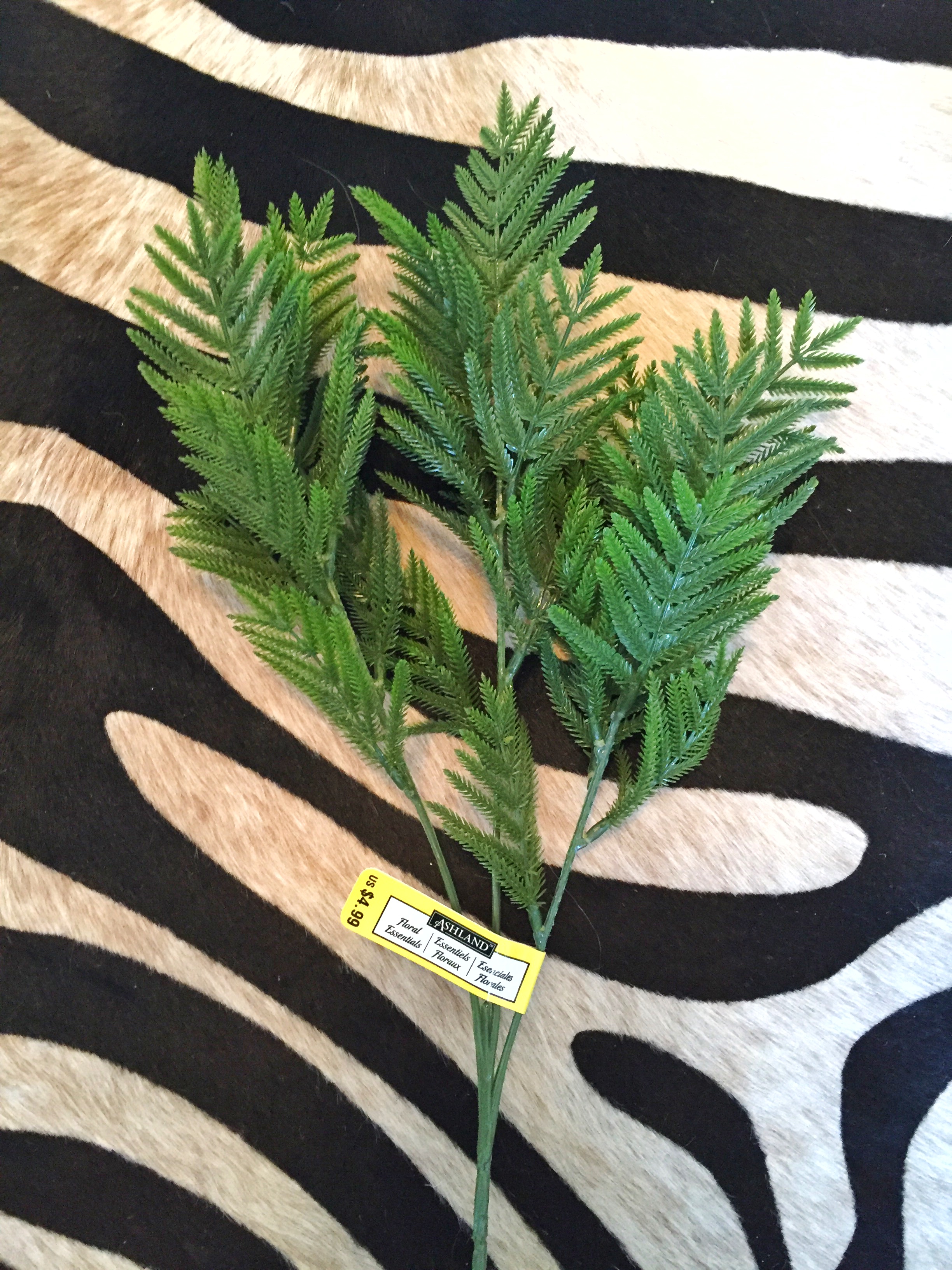 This fern bunch and washi tape were found at Michael's. 