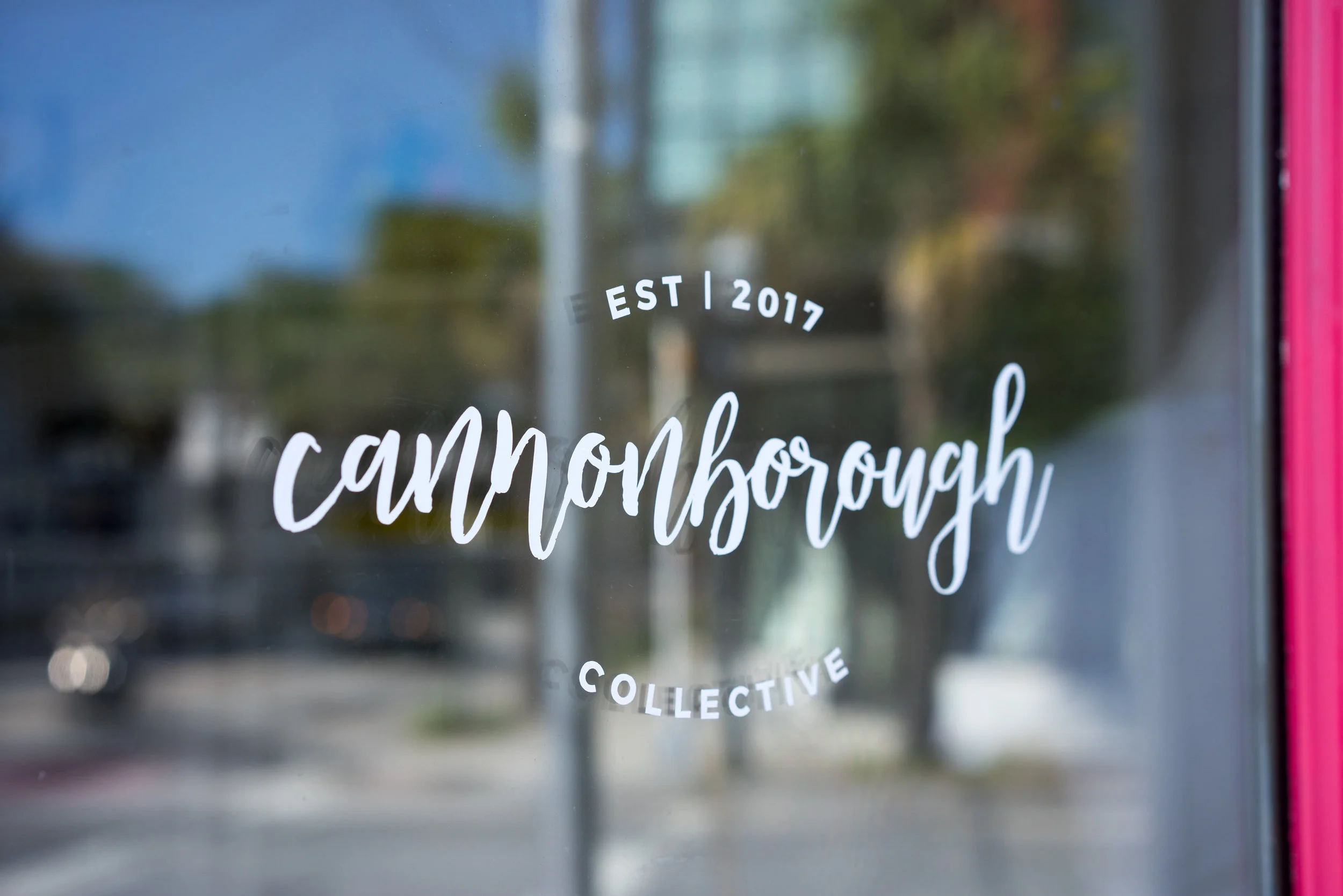 all images by Abby Murphy Photo