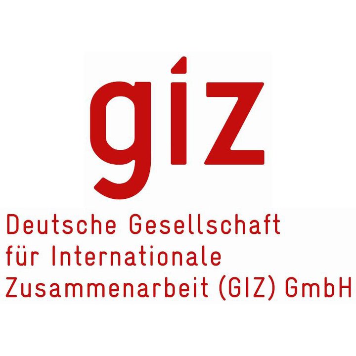 giz-logo_720.jpg