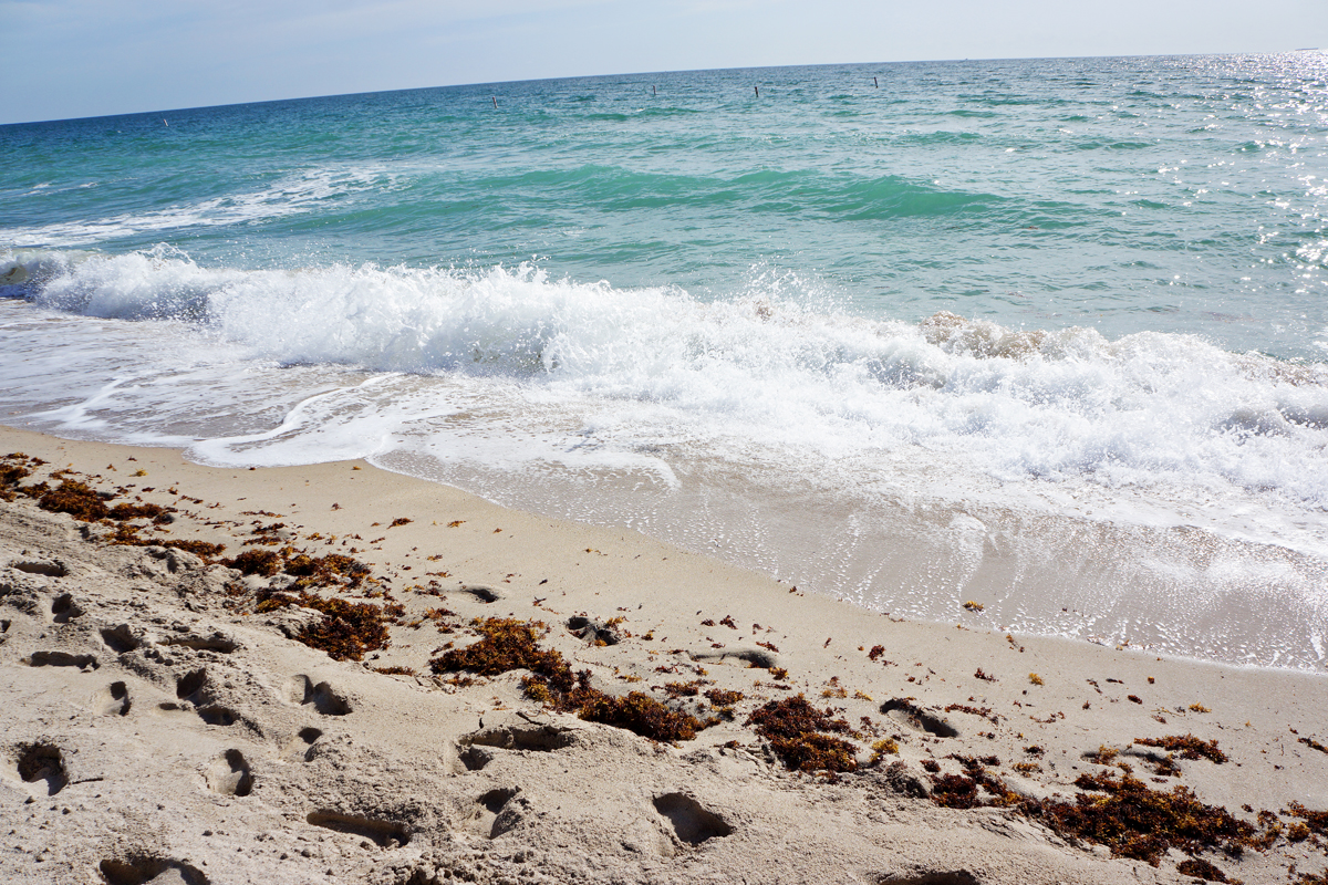 South Beach