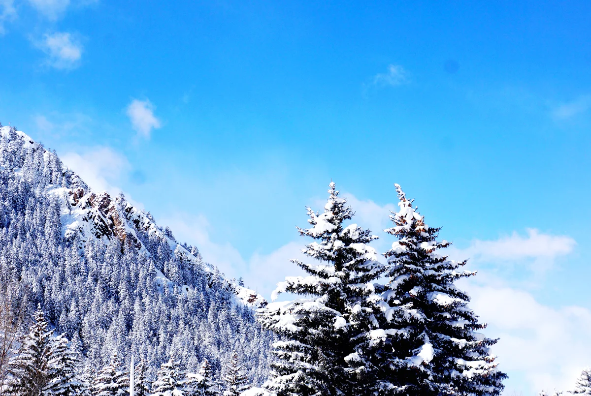 Aspen, Colorado