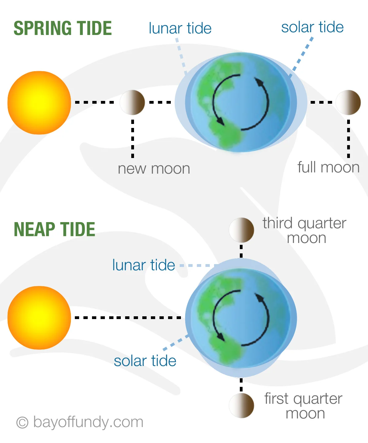 spring-vs-neap-tide-large1.jpg