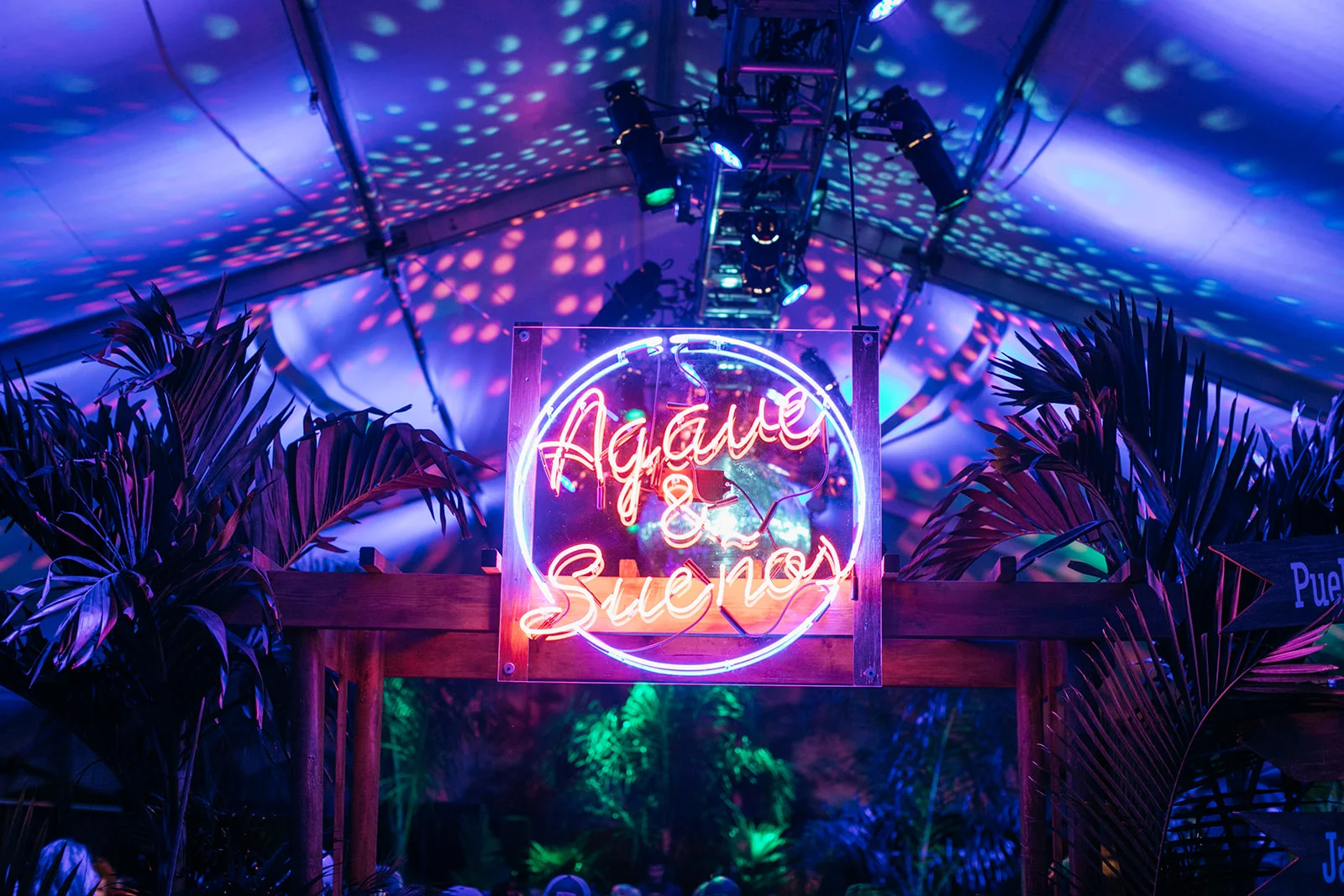 Agave & Sueños. Photo by Photo by Ollie Alexander.