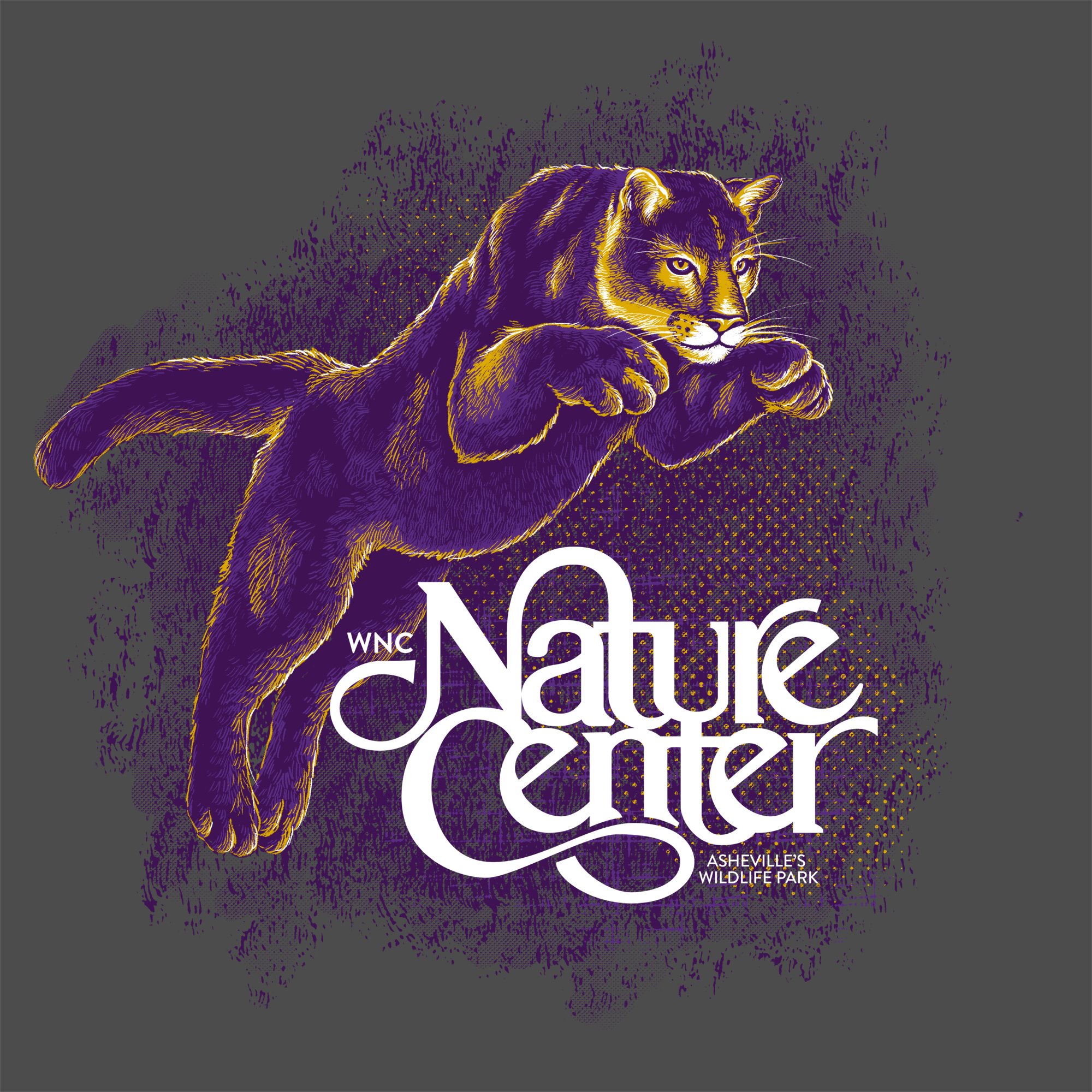 WNC Nature Center "Cougar"