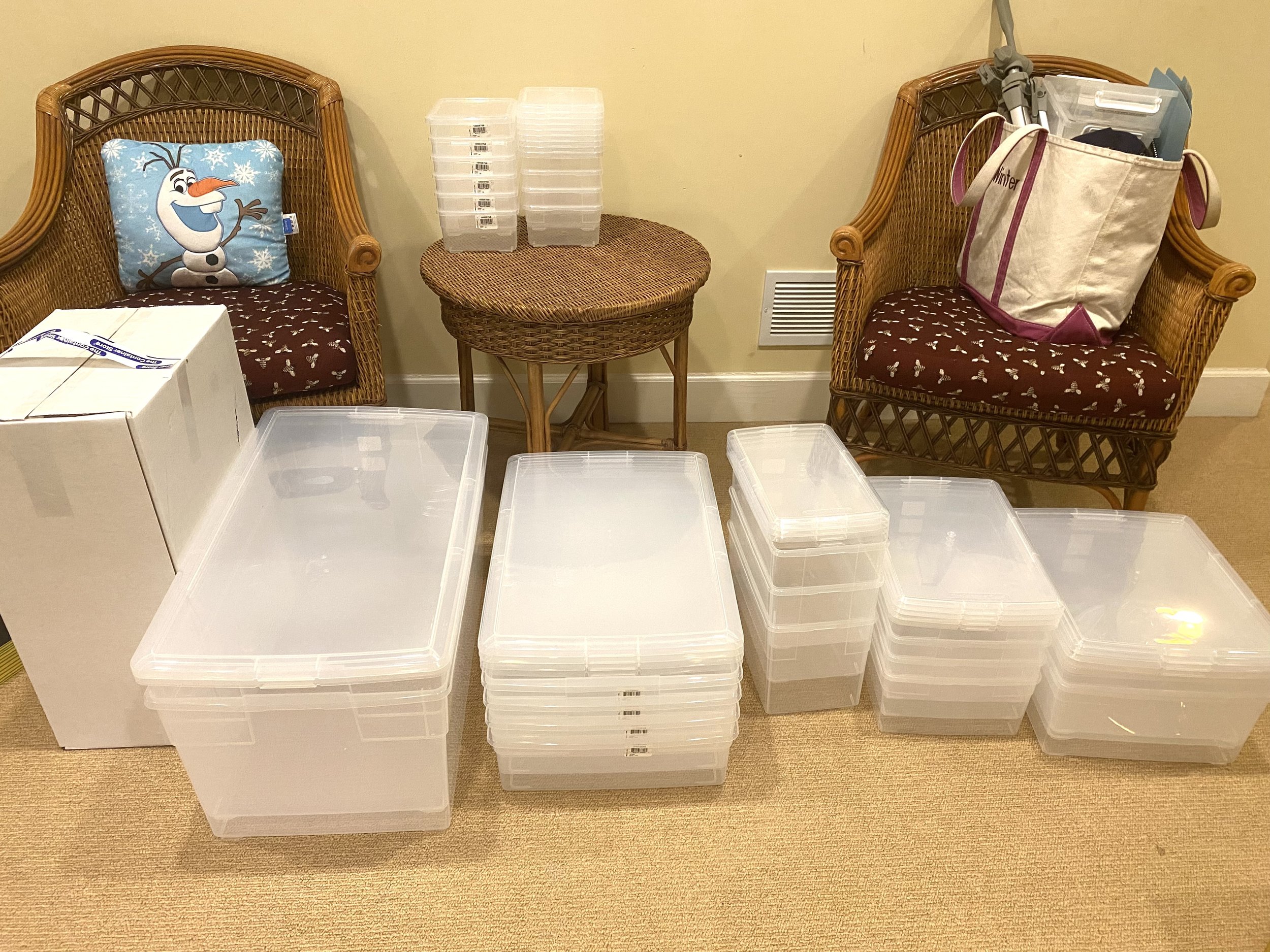 My Favorite Container Store Storage Bins