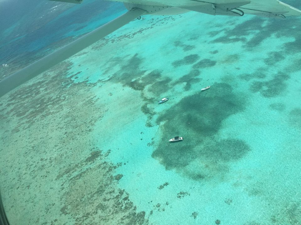 CAYE CAULKER BELIZE via Swirl Nation Blog