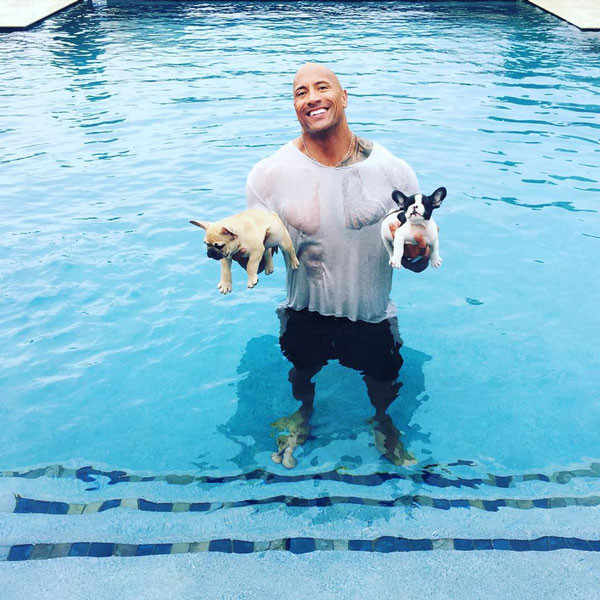 MULTIRACIAL MAN CRUSH MONDAY THE ROCK AKA DWAYNE JOHNSON via Swirl Nation Blog