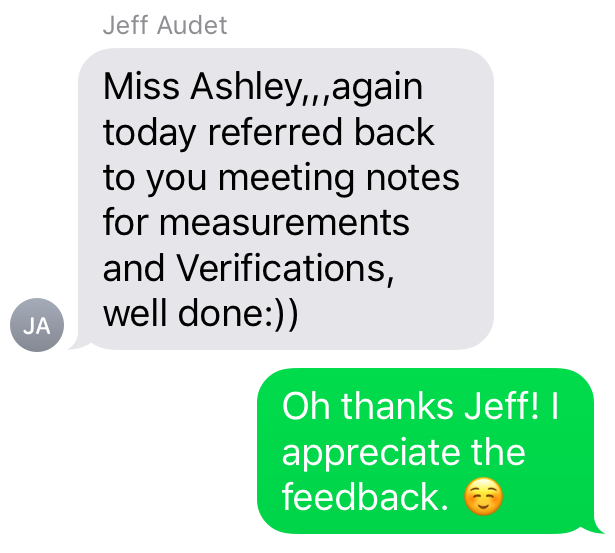 What Does Ashley Do All Day? — Meldrum Design