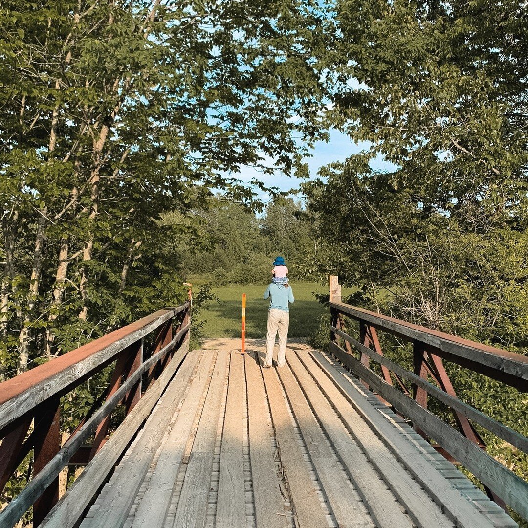 Just some pics of this lovely summer we've been having in western Maine.βοΈ Model credit goes to my sister, Leona, Simon, and Sunny the dog. π π§
#mainetheway #mainething #maineisgorgeous #mainelife #lovemaine #visitmaine #mainecoast #getoutside #ex