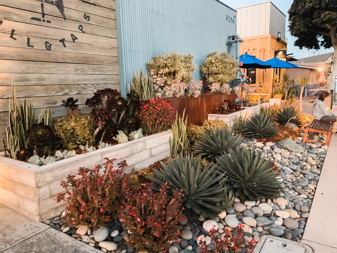Great landscaping and flooring @ketchgrillandtaps on Shelter Island. π
Superb location for date night with my husband. π₯°
#landscapedesign #landscapearchitecture #landscapeinspiration #outdoorspaces #landscapedesigns #explorecalifornia #visitcalifo