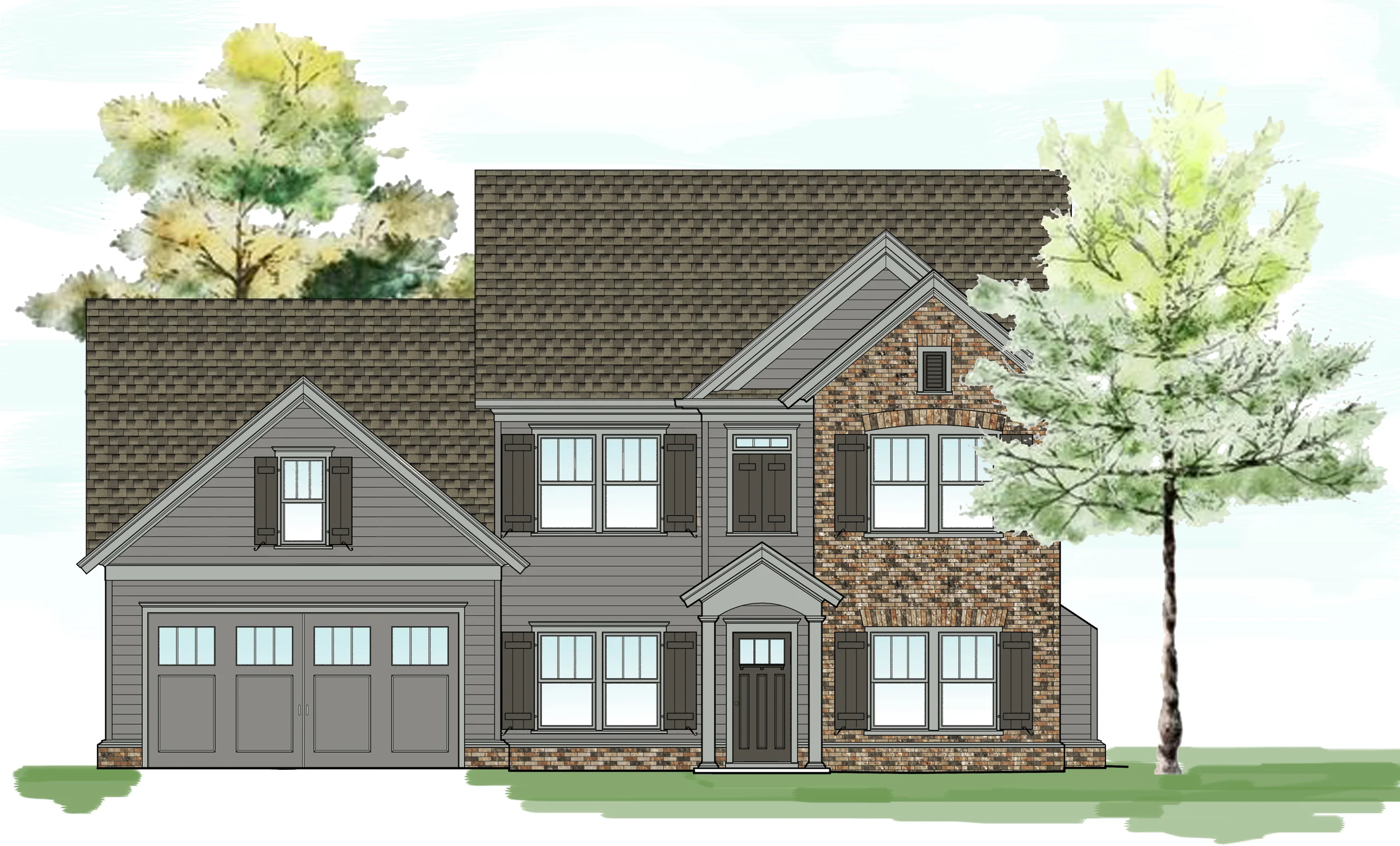 Finished Norwood Color DrawnTrees2 Gray.jpg