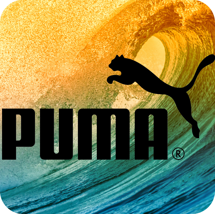 Puma3.jpg