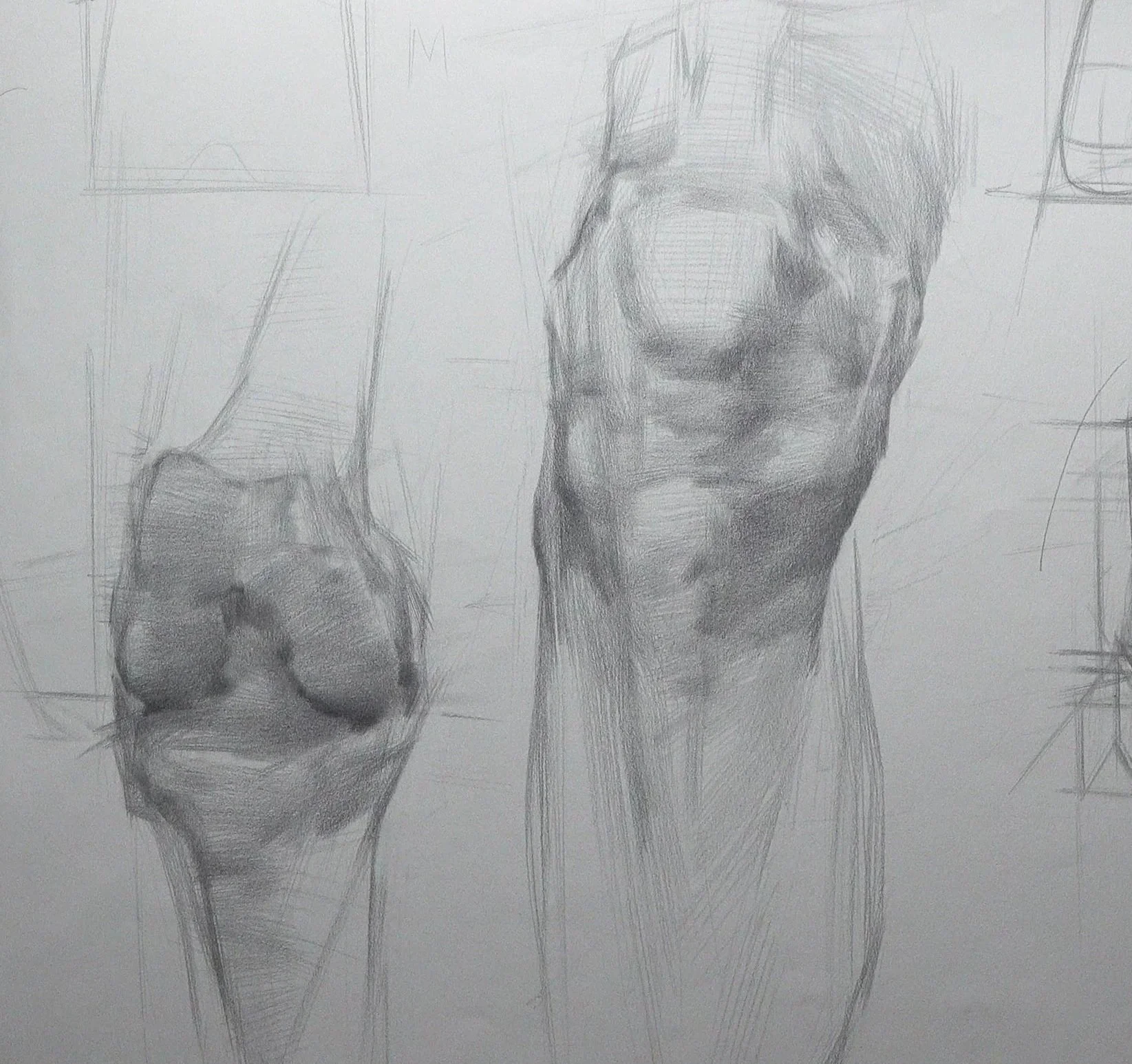 Knee%2Bstudy.jpg