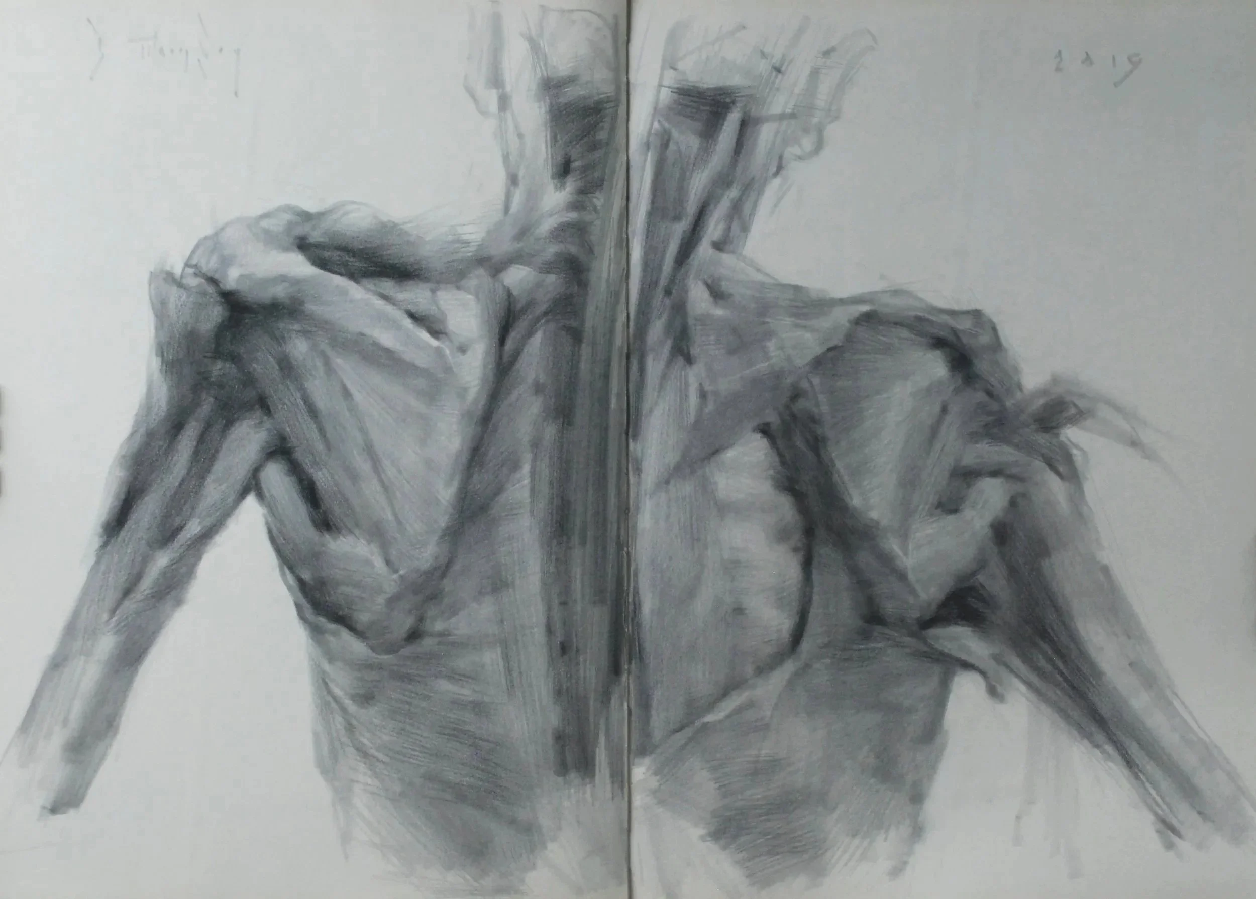 Cornell%2Bback%2Bview%2B16x23%2Bgraphite%2B2019.jpg