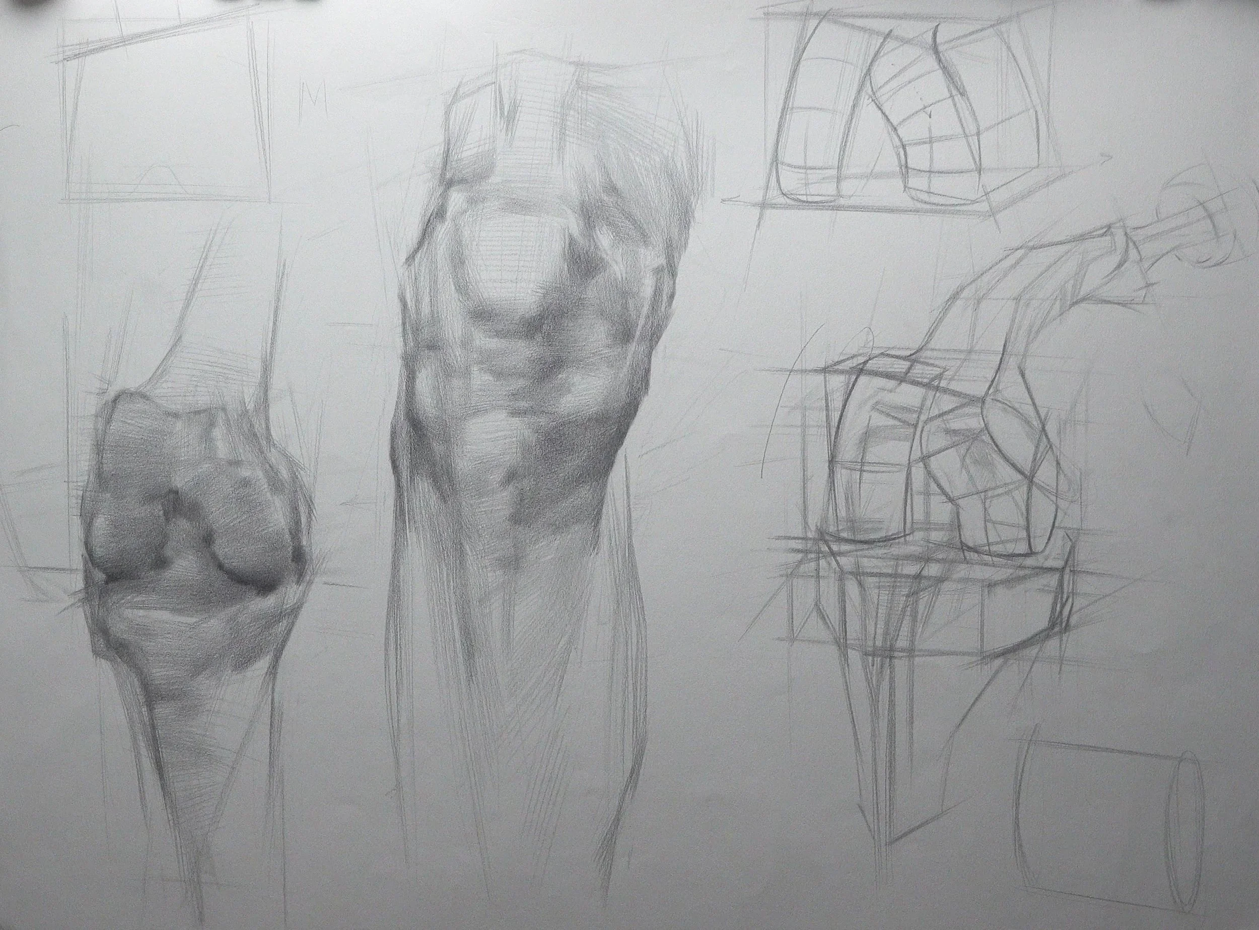 Knee+study.jpg