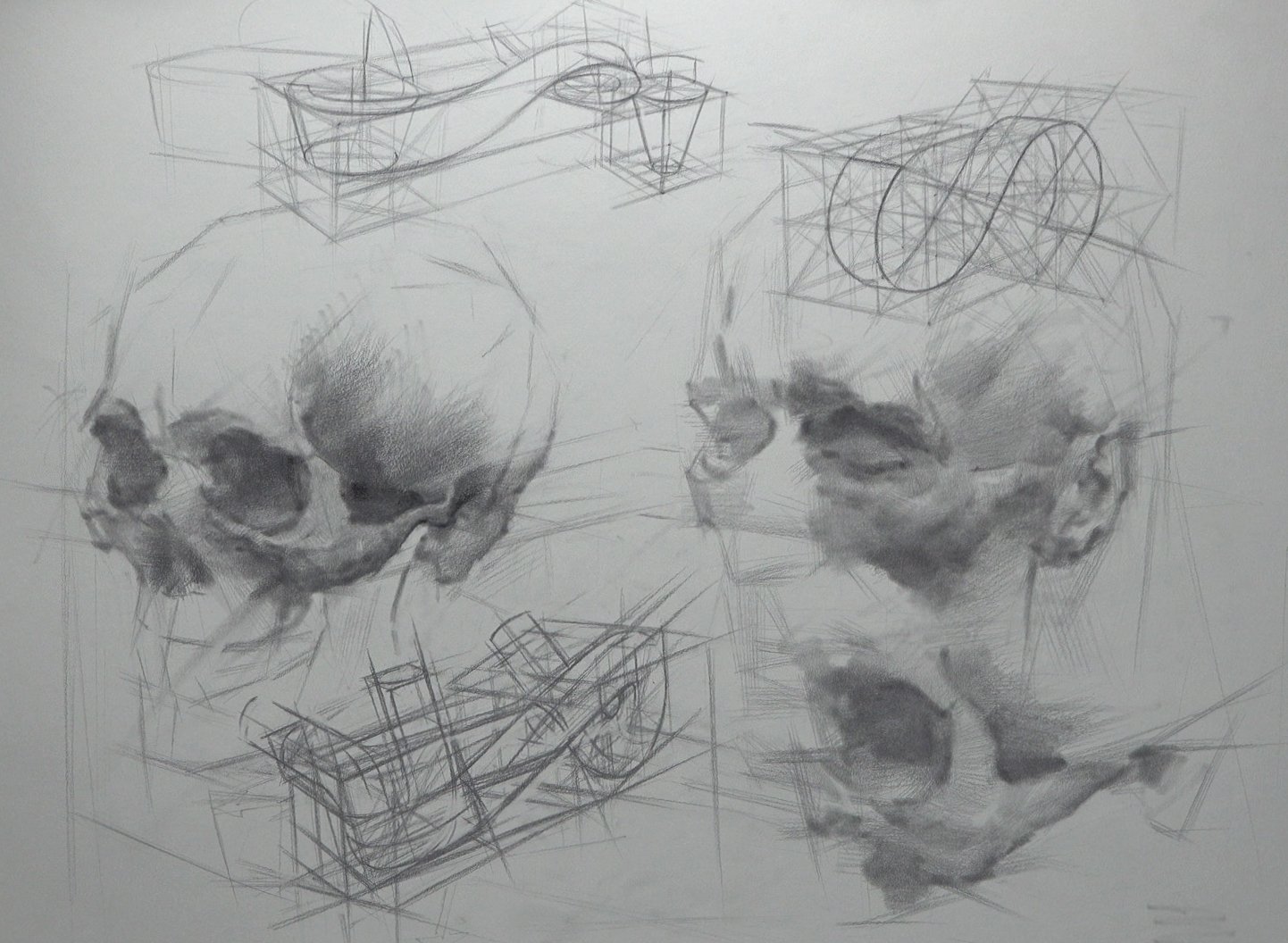 Themes of Zygomatic in Graphite_Thompson.jpg