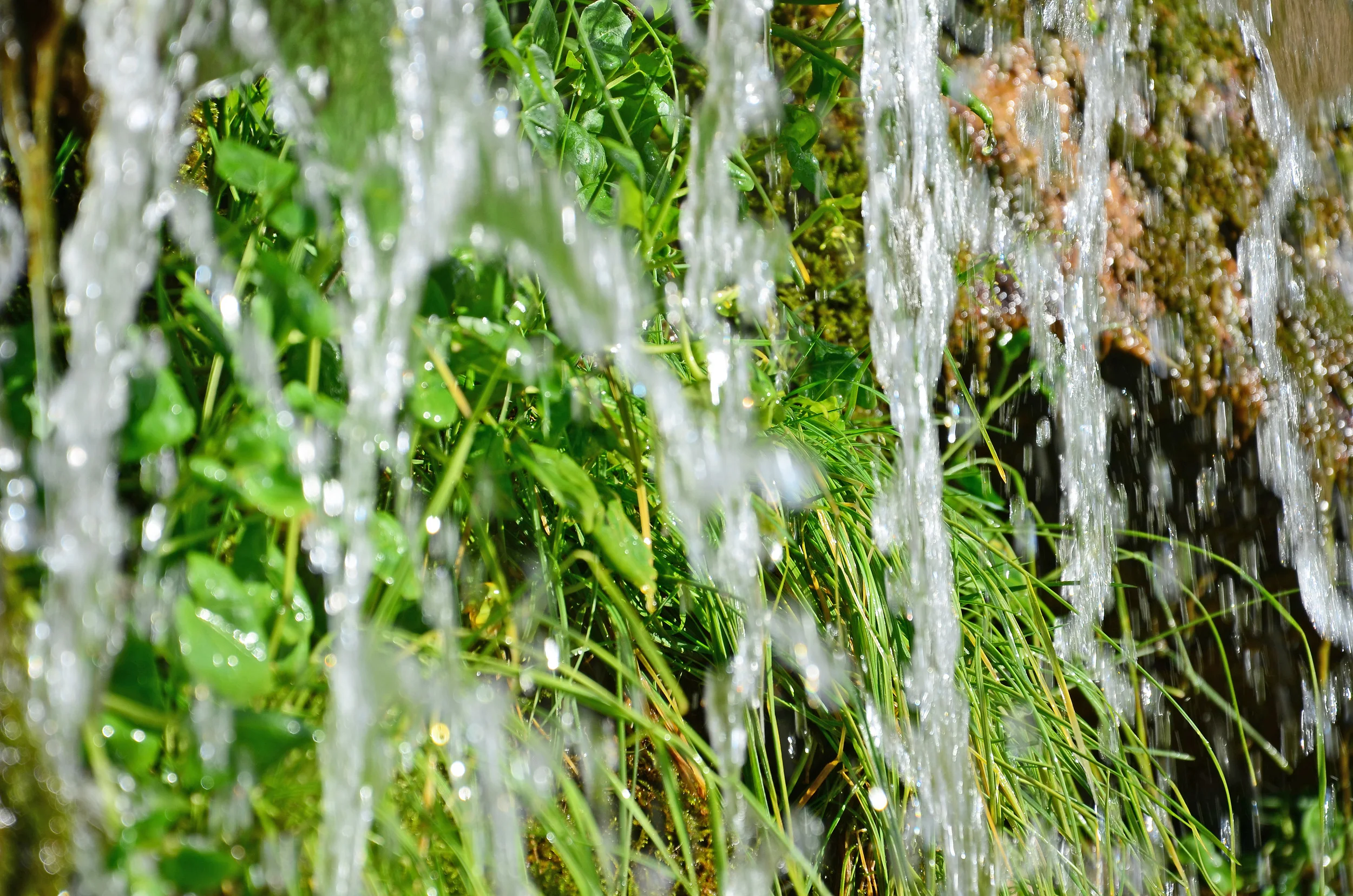 DSC_8443.jpg