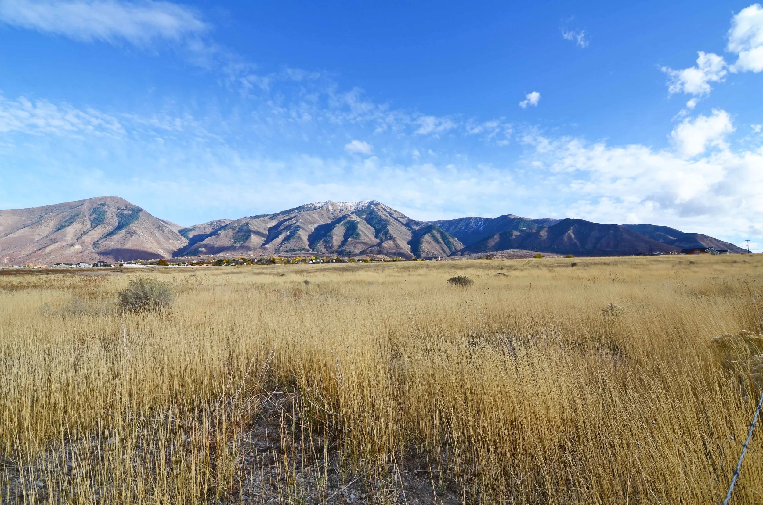 Elk Ridge.jpg