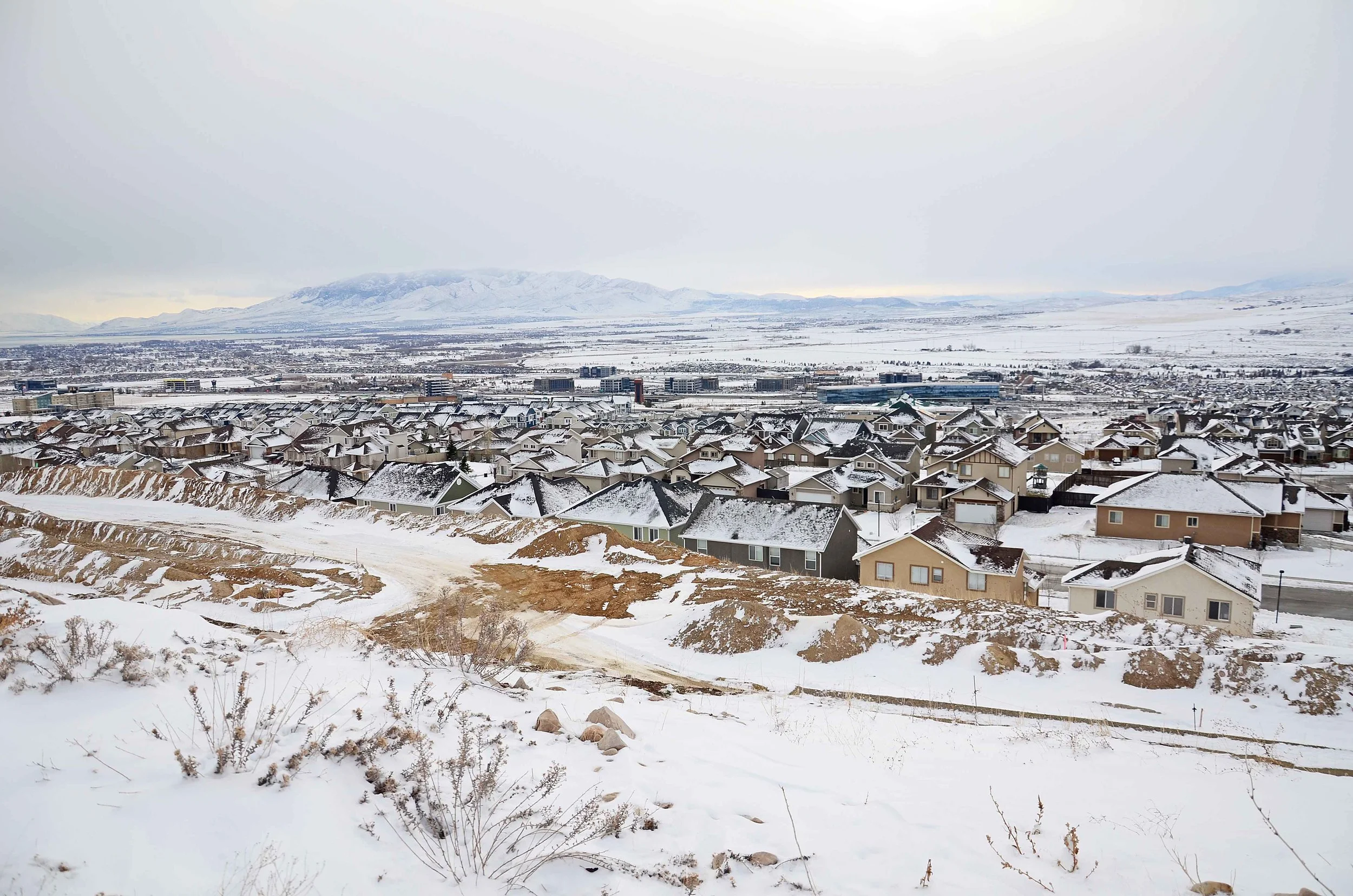 DSC_2277 small.jpg