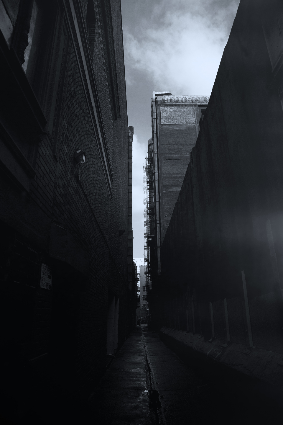 ALLEY-2-COLOR-BW.jpg