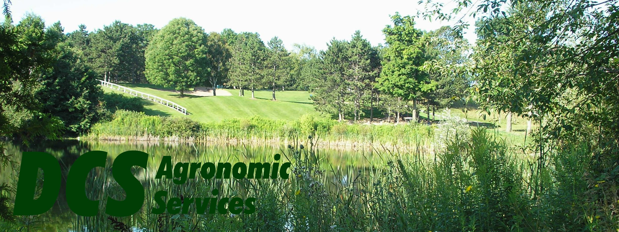 DCS Agronomic Web banner 6.jpg