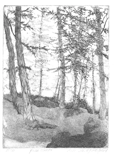 Ann Semprebon, Pineswept, copper plate etched in ferric acid using etching and spraypaint, 8x6"