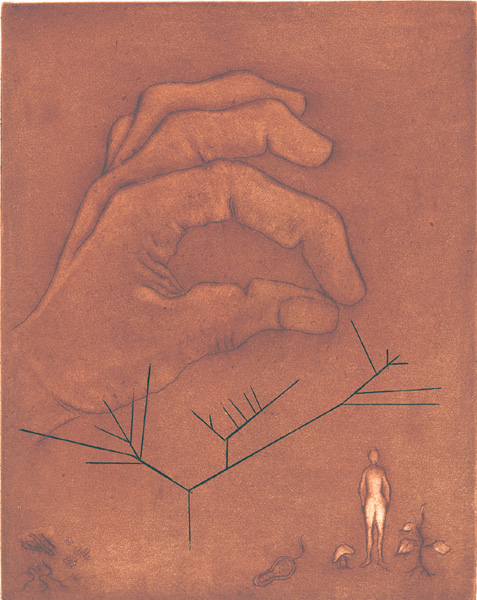 Nancy Wightman, Can-Do, soft ground aquatint and drypoint, multiple plates, oil-based ink, 8.5x6.75"