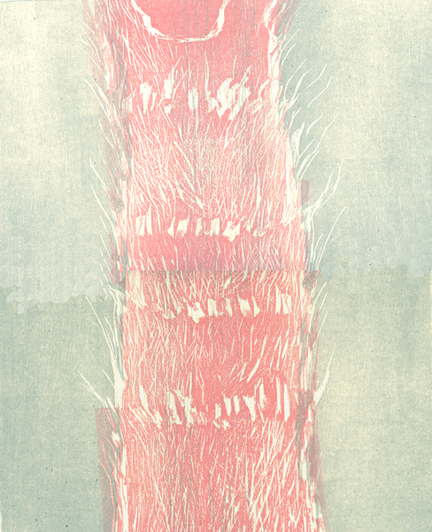 Sue Katz, Plumage, two wood Blocks, chine collé, water-based ink, 11.75x11"