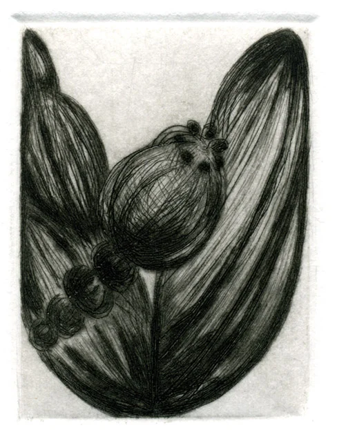 Betsey Garand, Frond, drypoint, 2x1"