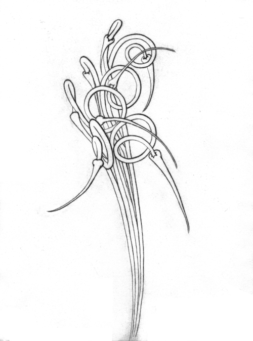 Louise Hamlin, Untitled, etching, 15 x 11"