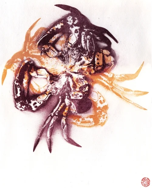 Rebekah A. L. Tolley, Inedible II, polyester-plate litho, chine colle, 9.5x3.5"