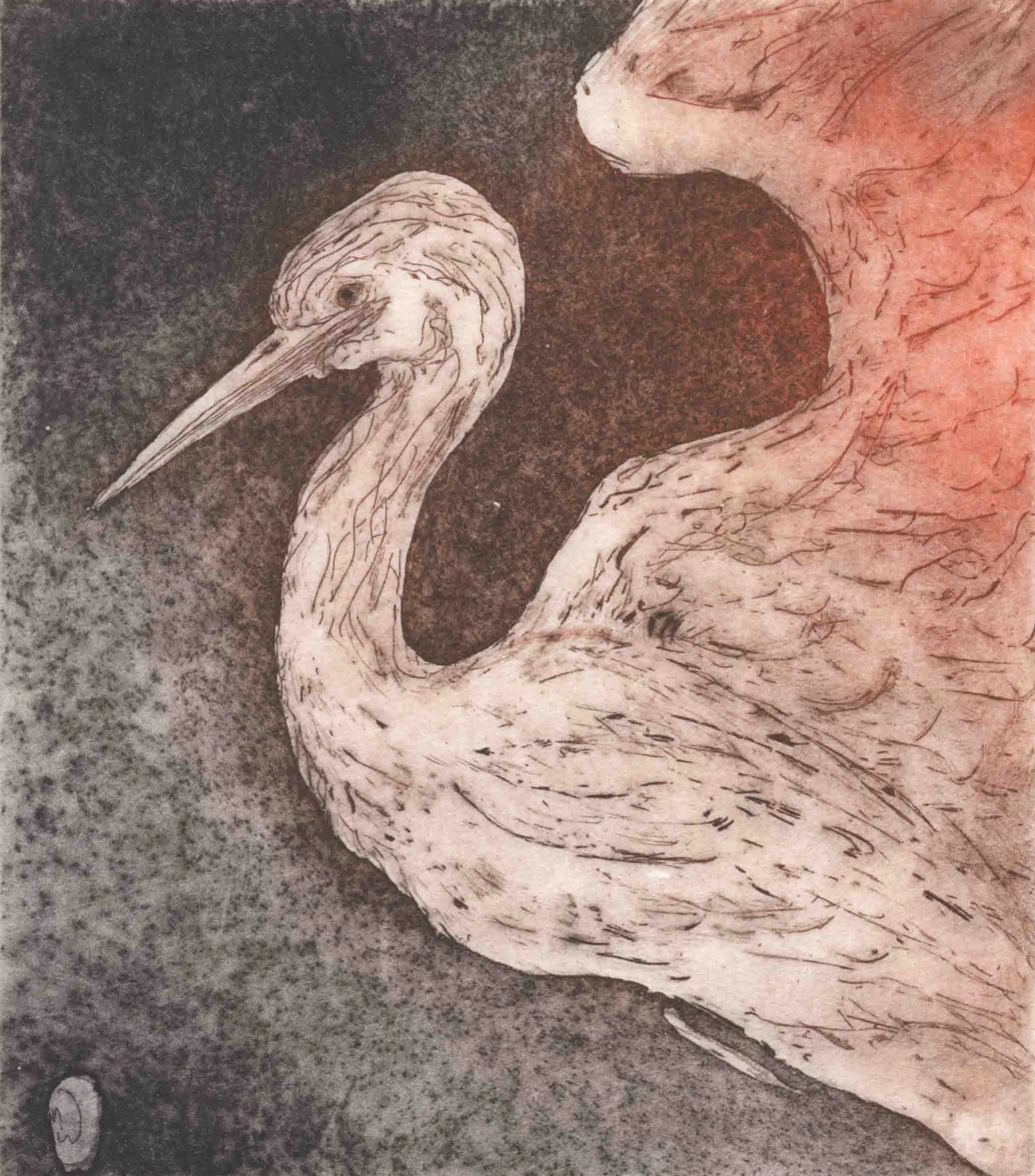 Crane VIII, etching, a la poupee