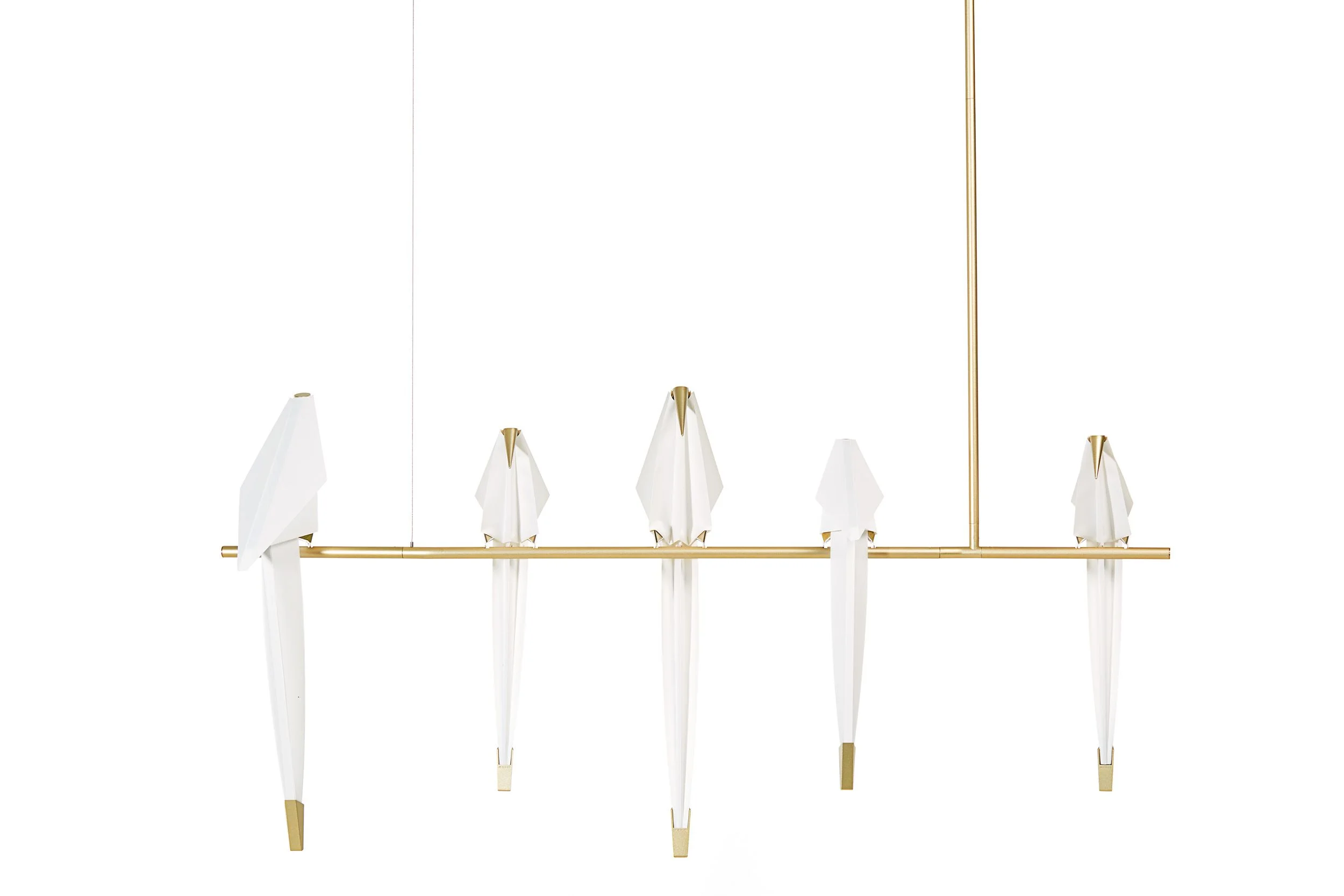 perch_light_branch_018_final.jpg