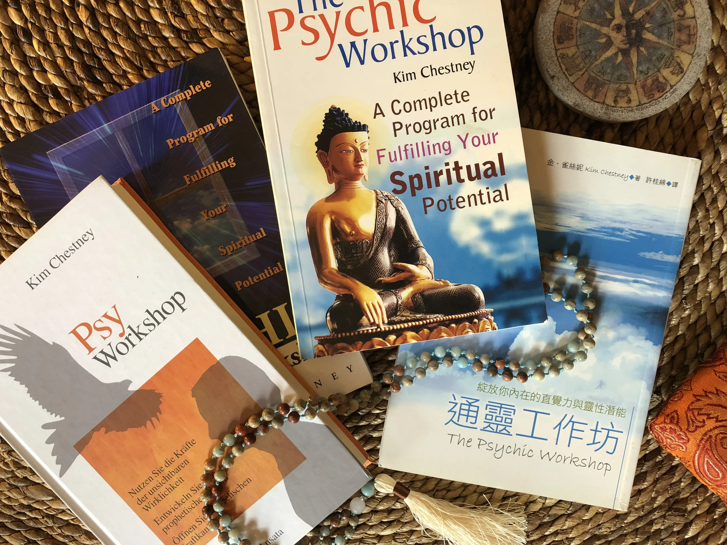 kim-chestney-books-1.jpg