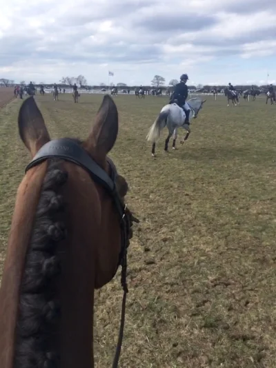 Warming up for dressage. (Photo - Madeline Backus)