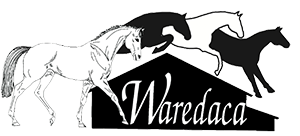 WAREDACA (2).png