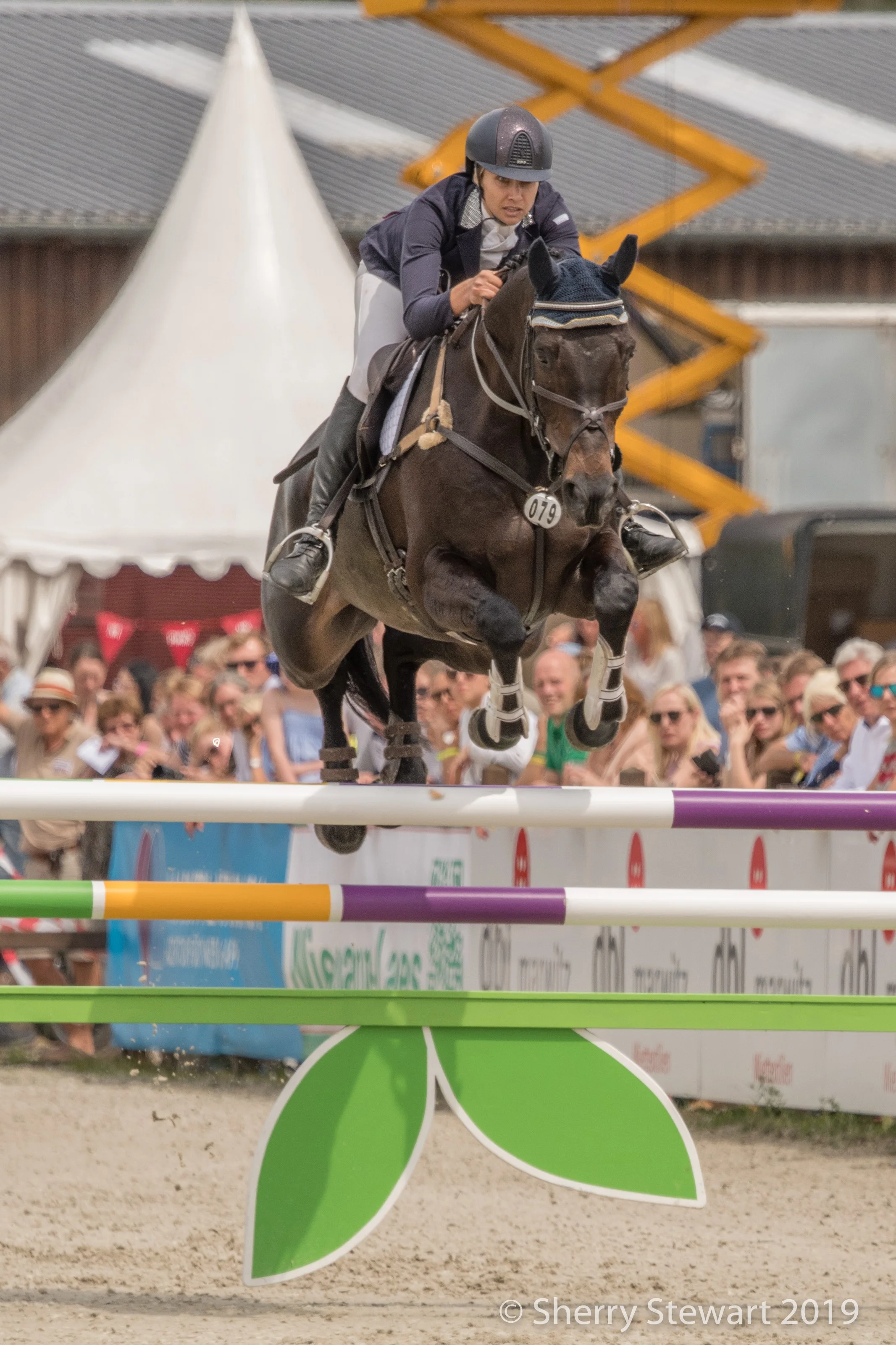 A clear round in show jumping saw Frankie and Chat finish in 4th place and get their first 5* under their belts.