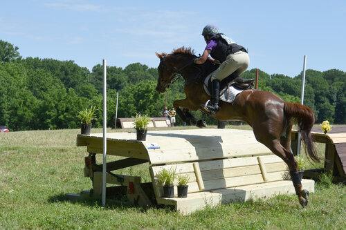  Wizard gives Sally Cousins a beautiful ride over Waredaca’s new frangible table. 