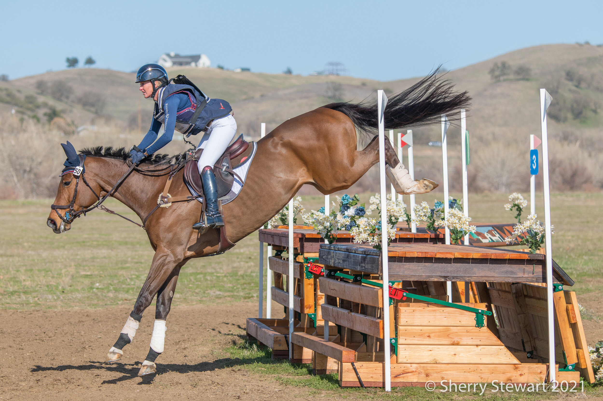  New frangible table in use on the Preliminary course at the Twin Rivers Winter Horse Trials. Sherry Stewart Photo. 