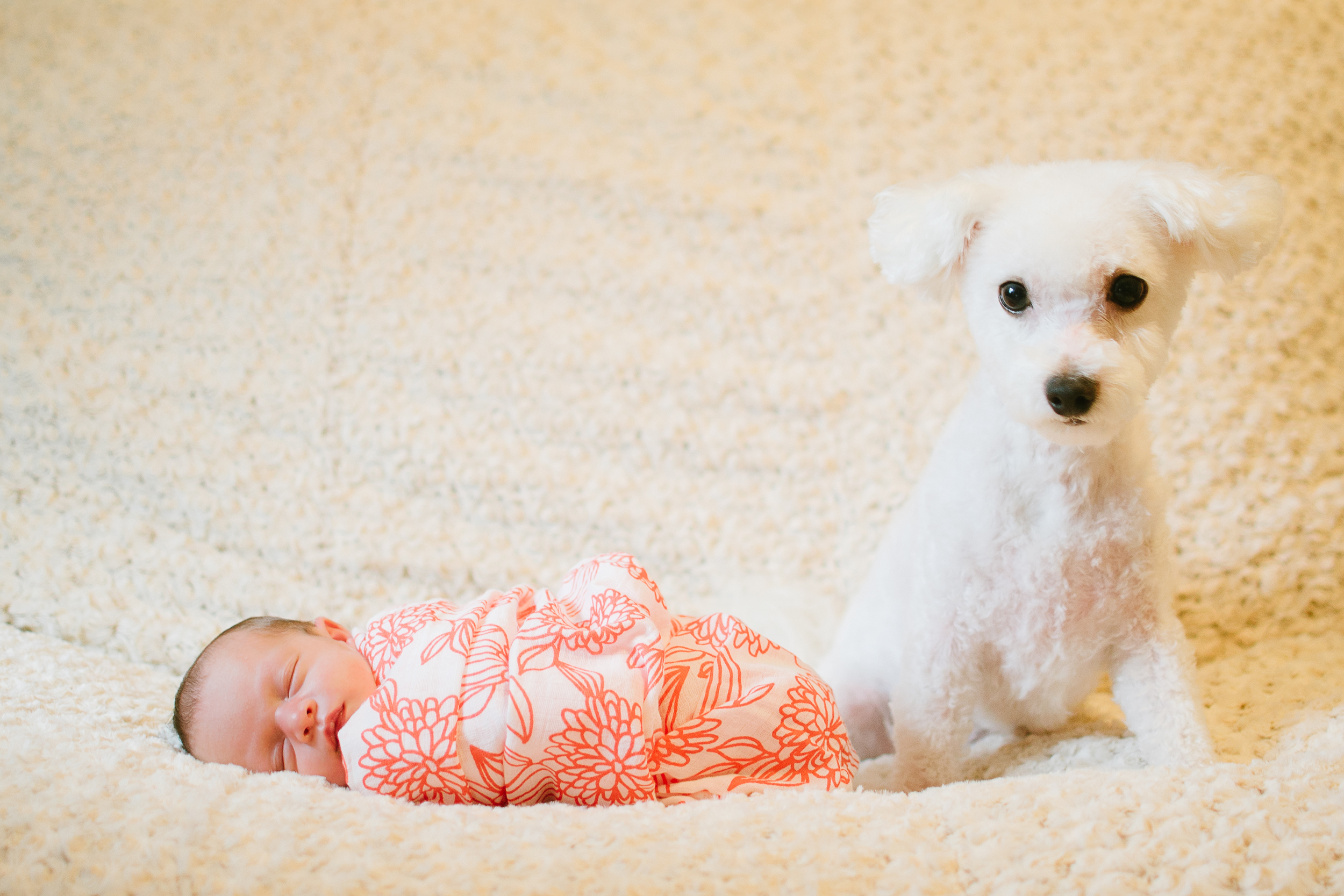 Megan Fuss Photography Newborn Baby Riley 00009.jpg