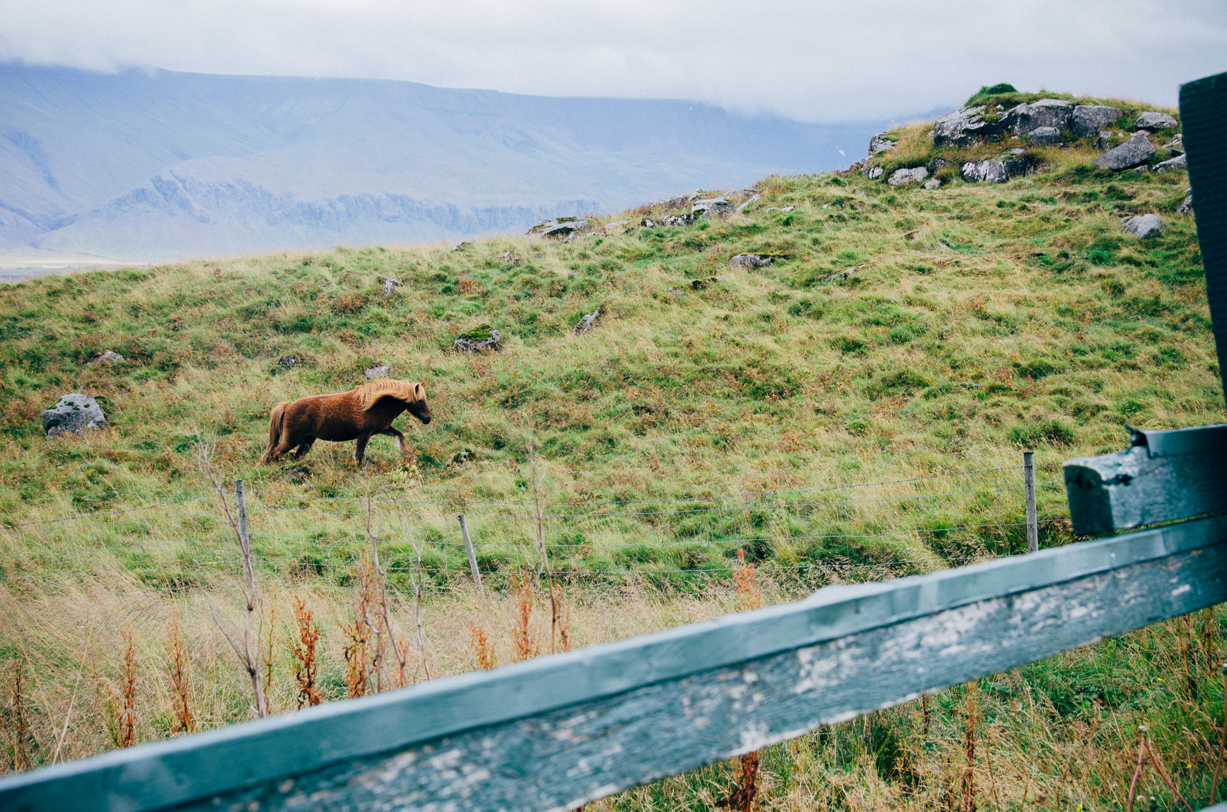 Megan Fuss Photography Iceland 2015 00004.jpg