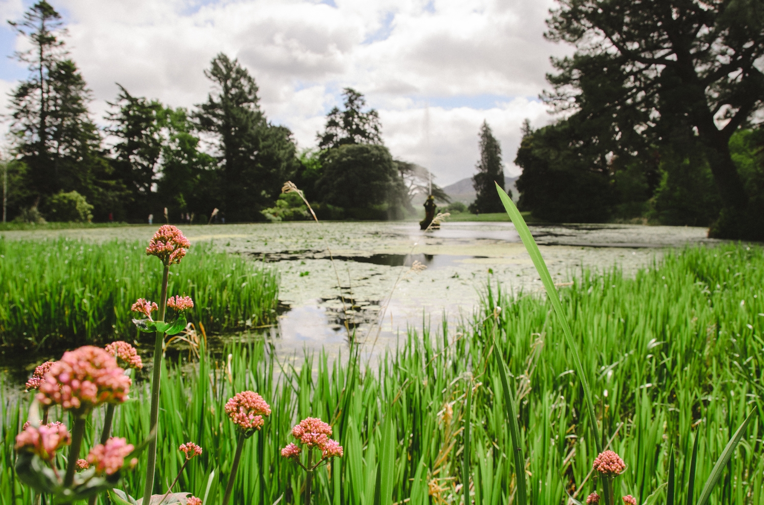 2015.05.26 Powerscourt 00010.jpg