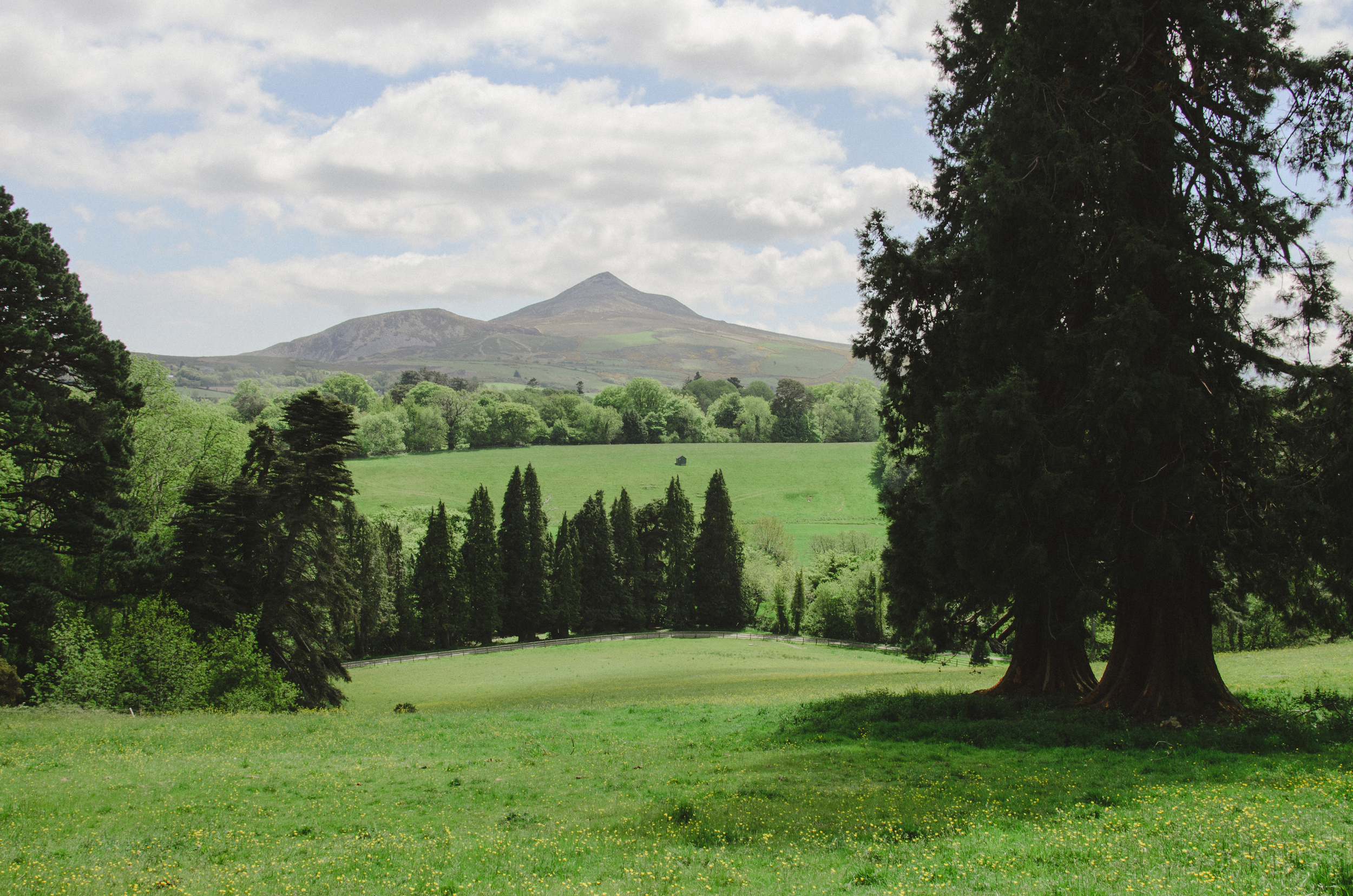 2015.05.26 Powerscourt 00054.jpg