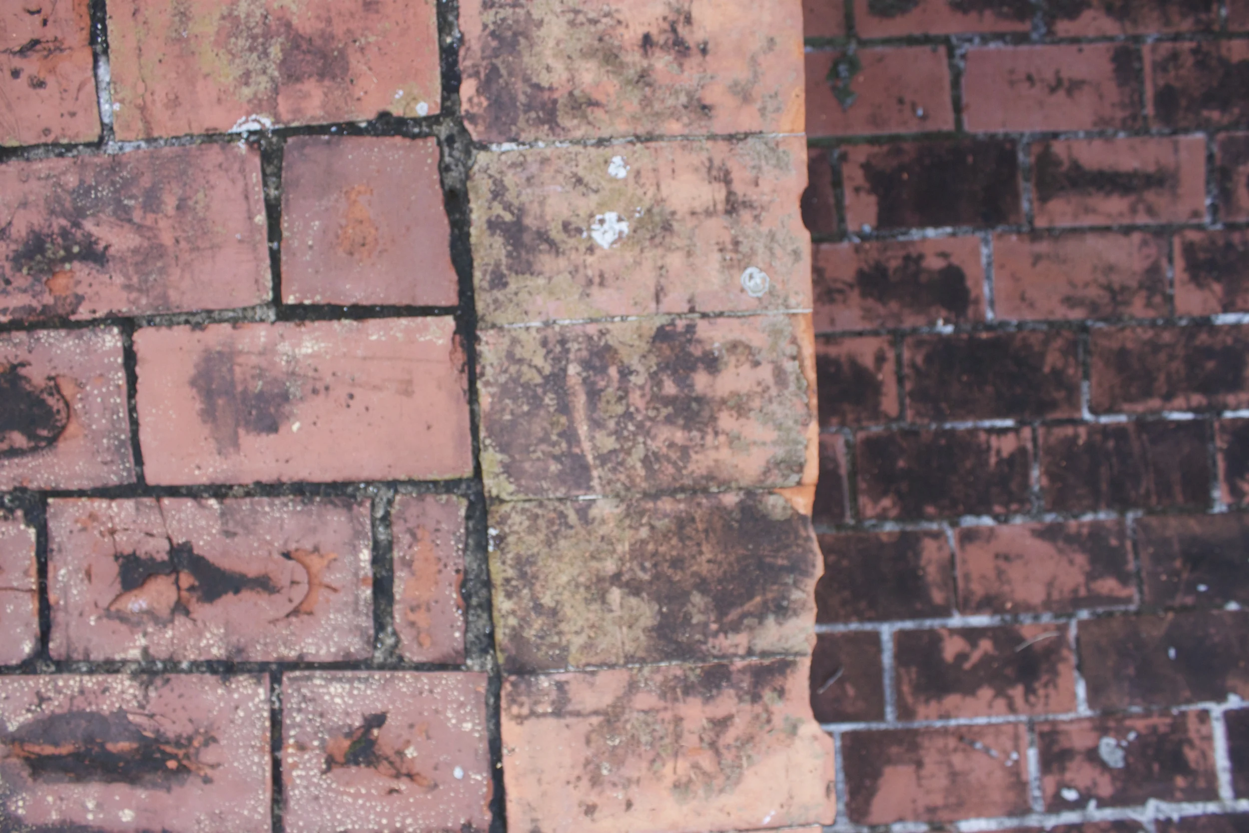 bricks
