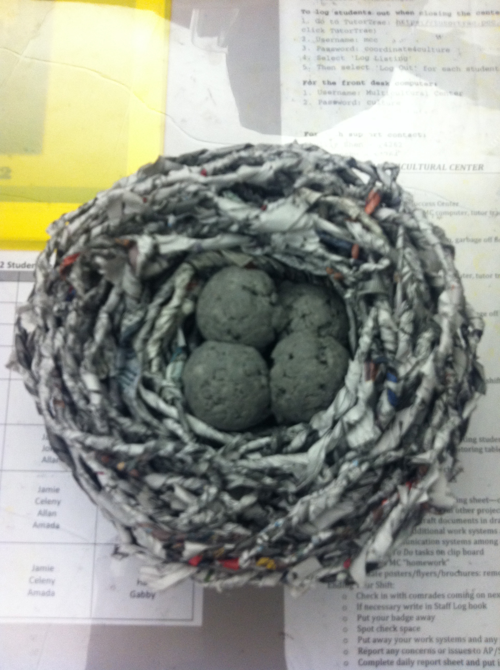 news nest