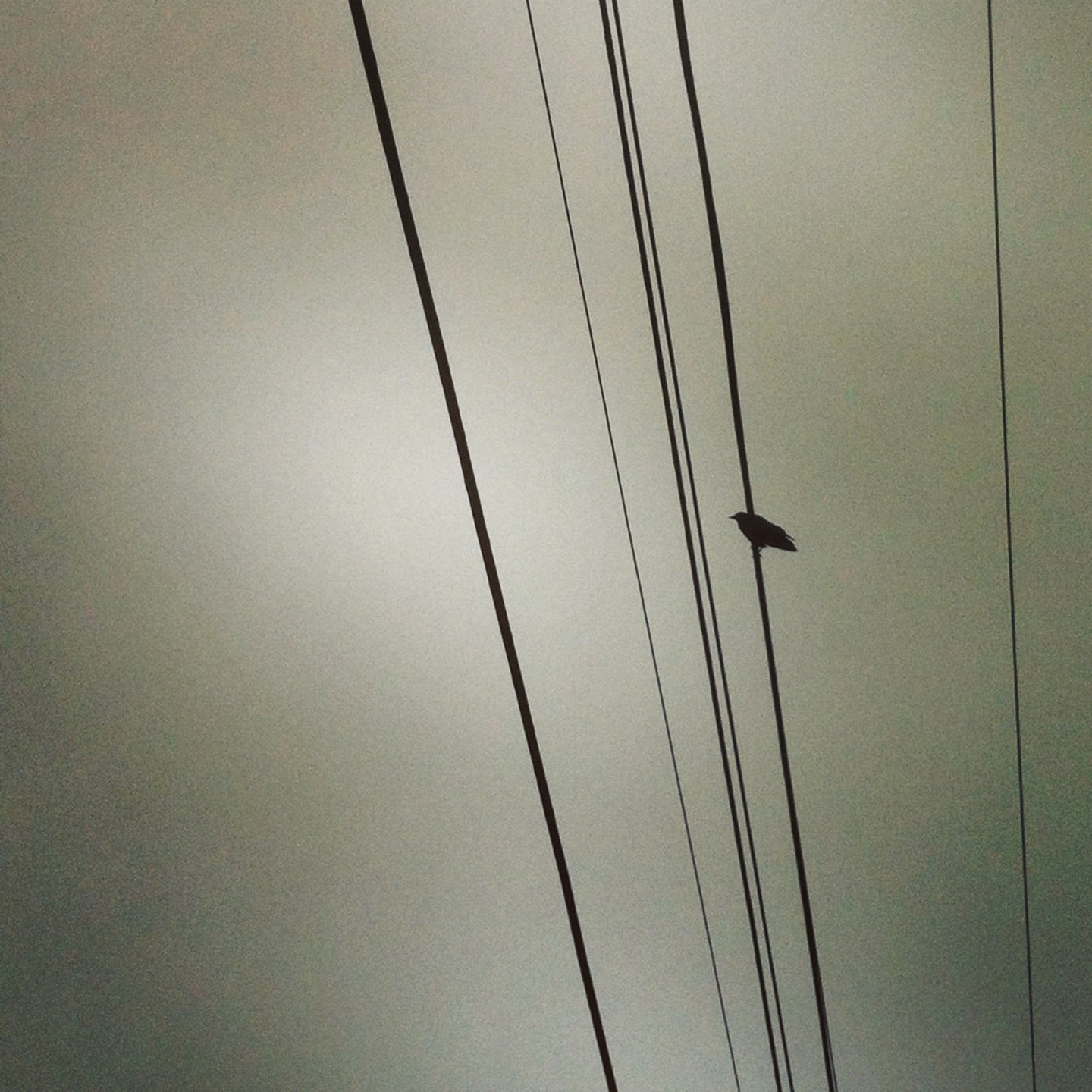 urbanity vs nature