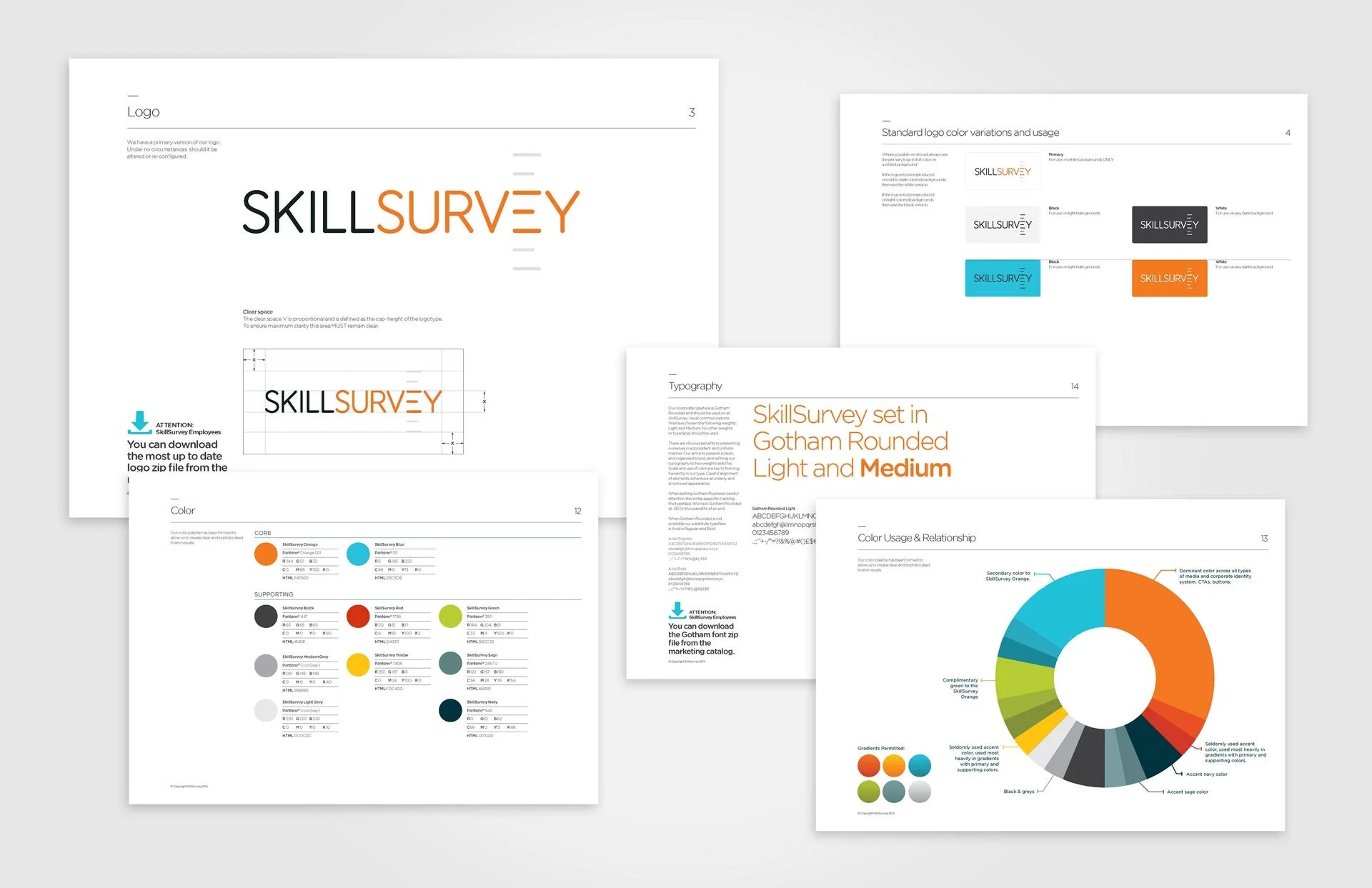 Skill_Survey_Branding_Master_Portfolio.jpg
