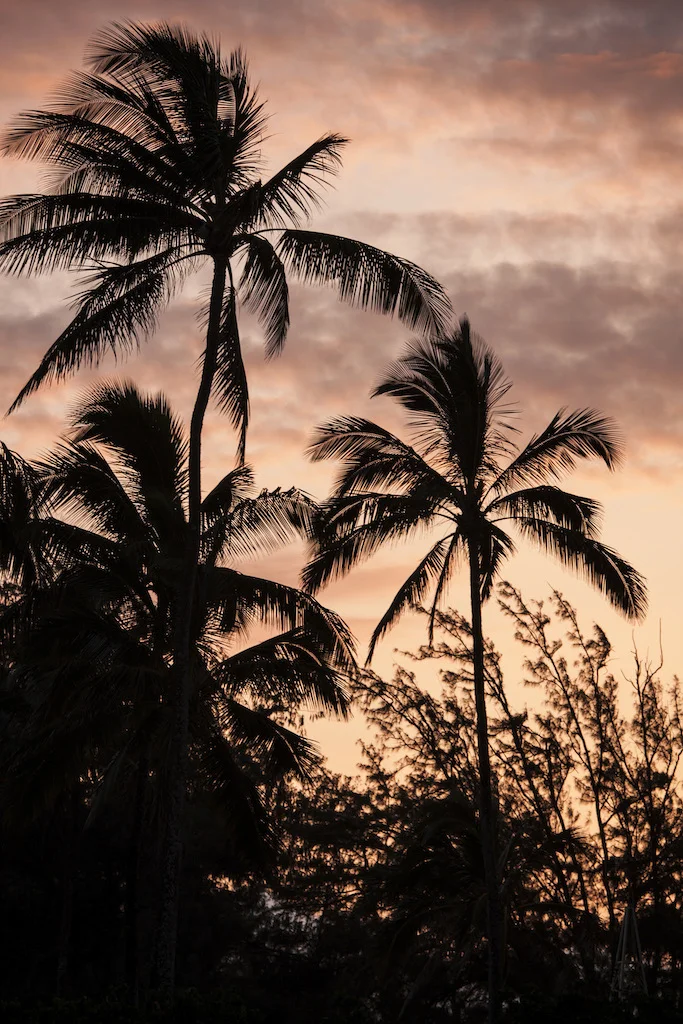 Hawaii_15.JPG